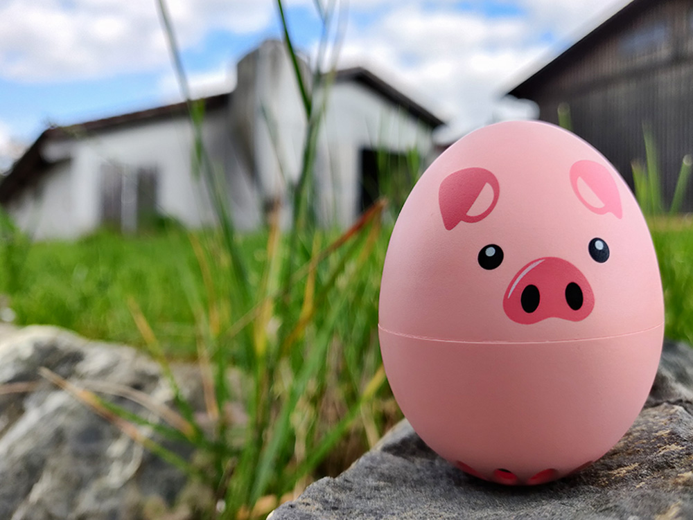 Packshot_Schweinchen_PiepEi_A005635.jpg Schweinchen PiepEi